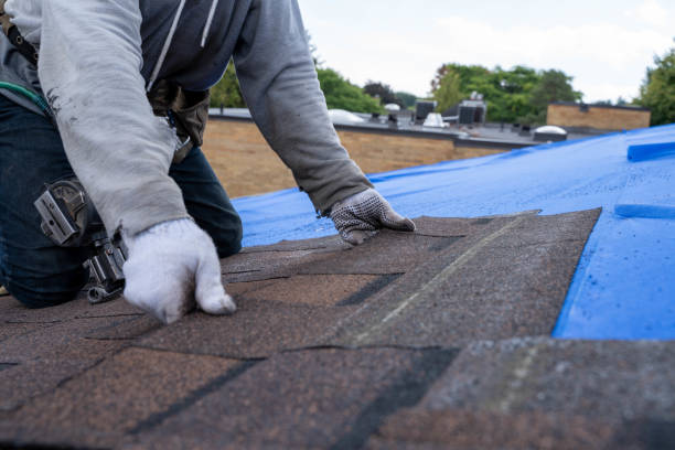 Best Roof Leak Repair  in Evans City, PA